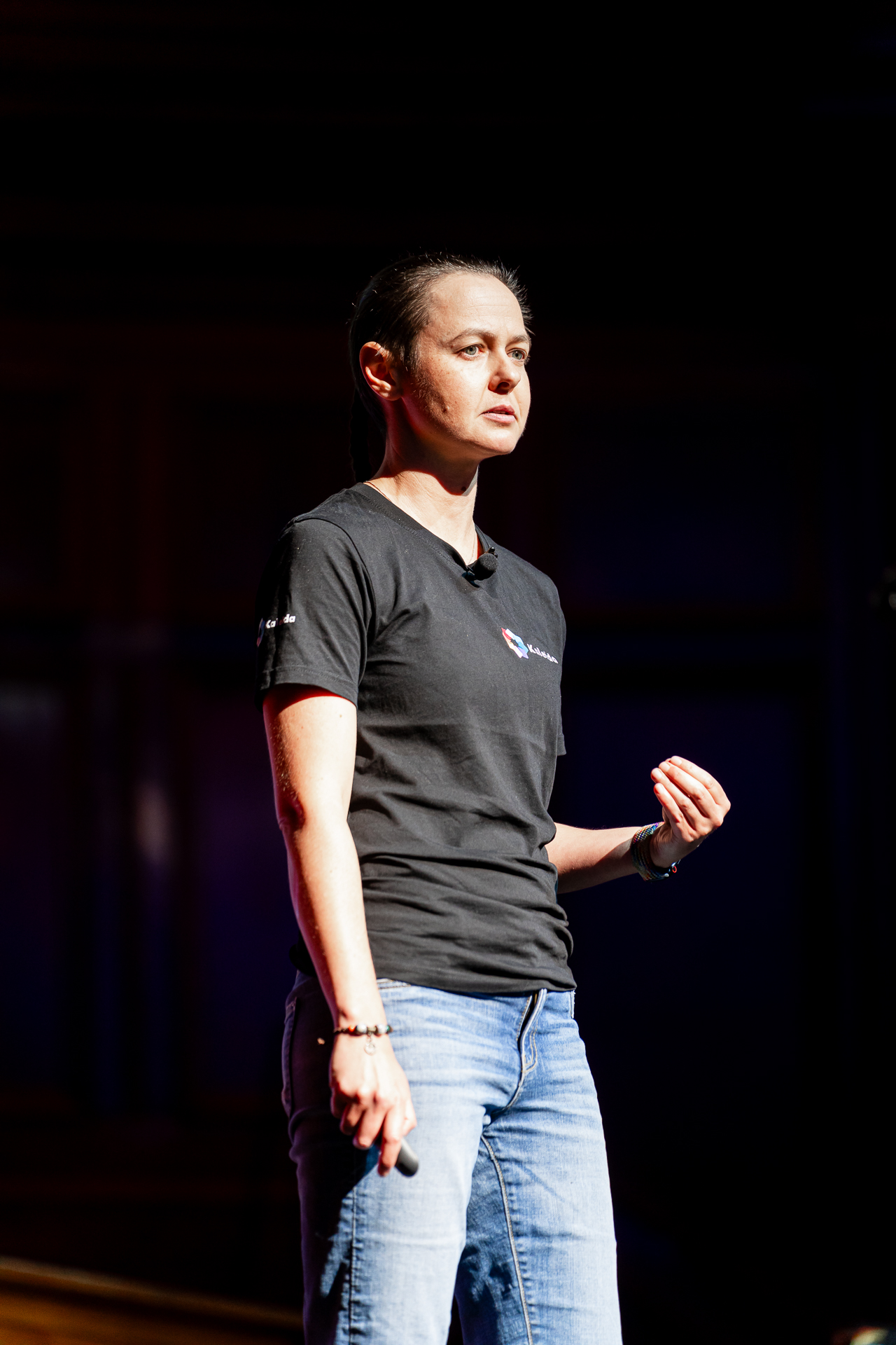 Susan Brander speaking at a conference